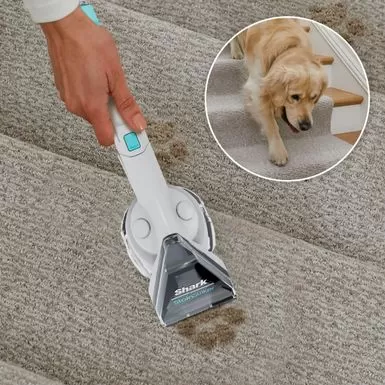 Shark - StainStriker Portable Carpet & Upholstery Cleaner - Spot, Stain, & Odor Eliminator - White 6 Shark - StainStriker Portable Carpet & Upholstery Cleaner - Spot, Stain, & Odor Eliminator - White - Image 4
