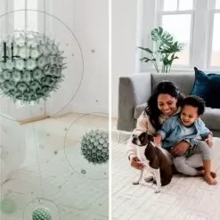 Shark - Rotator With PowerFins HairPro And Odor Neutralizer Technology Upright Vacuum - Charcoal 20 Shark - Rotator With PowerFins HairPro And Odor Neutralizer Technology Upright Vacuum - Charcoal -Appliance Shop 26c99815 74a8 5115 addc 4973b42d9960