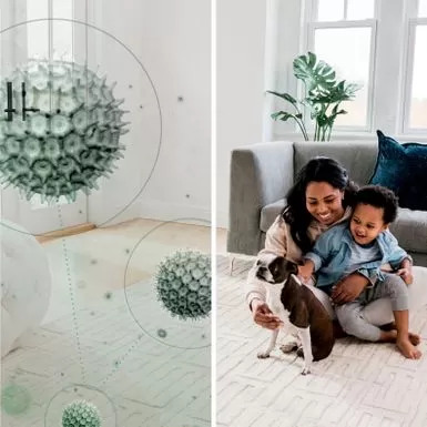 Shark - Rotator With PowerFins HairPro And Odor Neutralizer Technology Upright Vacuum - Charcoal 8 Shark - Rotator With PowerFins HairPro And Odor Neutralizer Technology Upright Vacuum - Charcoal - Image 6