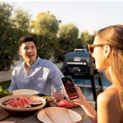 Ninja - Woodfire ProConnect Premium XL Outdoor 7-in-1 Grill & Smoker, App Enabled, Air Fryer, 2 Built-In Thermometers - Blue -Appliance Shop 29bbc26f 0d50 5380 a561 8292c33c8ea2