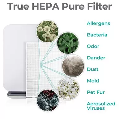 Alen - BreatheSmart 75i Air Purifier With Pure, True HEPA Filter, For Allergens, Dust, Mold, And Germs – 1,300 SqFt - White 11 Alen - BreatheSmart 75i Air Purifier With Pure, True HEPA Filter, For Allergens, Dust, Mold, And Germs – 1,300 SqFt - White - Image 9