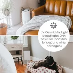 Crane True HEPA Air Purifier With UV Light For Rooms Up To 300 Sq. Ft. - White -Appliance Shop 3d8d6a2d 5273 4a8b ab40 9d89d66ac0c5