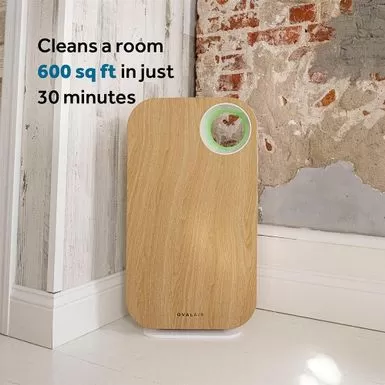 OVAL AIR 3-Stage H13 True HEPA 5-in-1 Air Purifier For Rooms Up To 600 Sq. Ft. Reduces Allergies, Asthma, Pets, Odor, Smoke - White 16 OVAL AIR 3-Stage H13 True HEPA 5-in-1 Air Purifier For Rooms Up To 600 Sq. Ft. Reduces Allergies, Asthma, Pets, Odor, Smoke - White - Image 14
