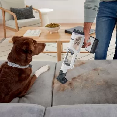 Shark - Detect Pro Auto-Empty System, Cordless Vacuum With QuadClean Multi-Surface Brushroll, HEPA Filter & 60-Minute Runtime - White/Beats Brass 8 Shark - Detect Pro Auto-Empty System, Cordless Vacuum With QuadClean Multi-Surface Brushroll, HEPA Filter & 60-Minute Runtime - White/Beats Brass - Image 6