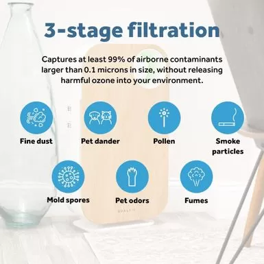 OVAL AIR 3-Stage H13 True HEPA 5-in-1 Air Purifier For Rooms Up To 600 Sq. Ft. Reduces Allergies, Asthma, Pets, Odor, Smoke - White 20 OVAL AIR 3-Stage H13 True HEPA 5-in-1 Air Purifier For Rooms Up To 600 Sq. Ft. Reduces Allergies, Asthma, Pets, Odor, Smoke - White - Image 18