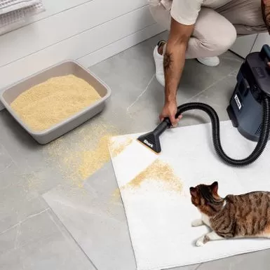 Shark - MessMaster Portable Wet/Dry Vacuum, 1 Gallon Capacity, Corded, Handheld, Perfect For Pets & Cars - Blue 7 Shark - MessMaster Portable Wet/Dry Vacuum, 1 Gallon Capacity, Corded, Handheld, Perfect For Pets & Cars - Blue - Image 5