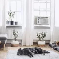 5000 BTU Mechanical Window A/C DOE ISTA 6 -Appliance Shop 60e88b04 27e4 40ee 9d24 07ea0b2a3237