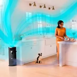 Shark - 3-in-1 Air Purifier, Heater & Fan With NanoSeal HEPA, Cleansense IQ, Odor Lock, For 500 Sq. Ft - Grey -Appliance Shop ae4db0a8 7297 5725 a6dc 9cc8ff2e16da