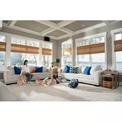 BISSELL - Little Green Pet Pro Corded Deep Cleaner - Cobalt Blue/Titanium -Appliance Shop b9acf3cf 762c 5cc2 a6d1 d982ddb7bc32