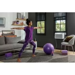 GE Profile - ClearView 350 Sq. Ft. 8,300 BTU Smart Ultra Quiet Window Air Conditioner With Wifi And Remote - White -Appliance Shop c4502f86 1087 5b31 b648 5edae2ee8b16