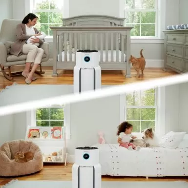 Shark - NeverChange Air Purifier MAX, 5-Year Filter Life, 1400 Sq. Ft - White 12 Shark - NeverChange Air Purifier MAX, 5-Year Filter Life, 1400 Sq. Ft - White - Image 10