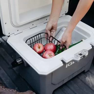Igloo - IMX 24 Quart Cooler - Gray 7 Igloo - IMX 24 Quart Cooler - Gray - Image 5