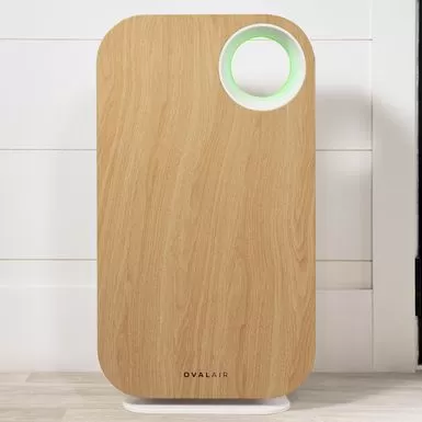 OVAL AIR 3-Stage H13 True HEPA 5-in-1 Air Purifier For Rooms Up To 600 Sq. Ft. Reduces Allergies, Asthma, Pets, Odor, Smoke - White 4 OVAL AIR 3-Stage H13 True HEPA 5-in-1 Air Purifier For Rooms Up To 600 Sq. Ft. Reduces Allergies, Asthma, Pets, Odor, Smoke - White - Image 2