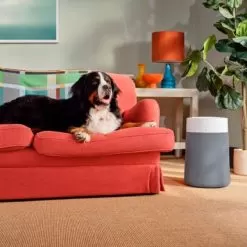 Blueair - Blue Pure 311i Max 387 Sq. Ft Smart HEPASilent Medium Room Bedroom Air Purifier - White/Seabed -Appliance Shop e12e51e4 bf7d 5baf 8854 fd4239d47308