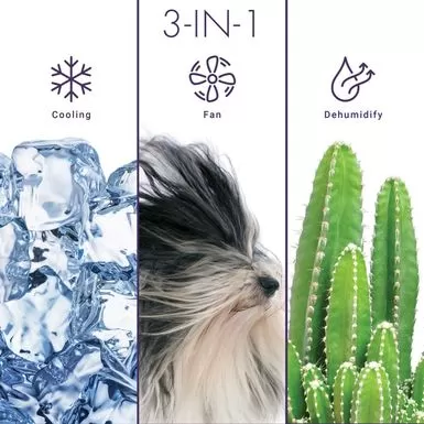 6,000 BTU Window Air Conditioner, Sleek Design, Energy Star 4 6,000 BTU Window Air Conditioner, Sleek Design, Energy Star - Image 2