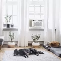 8000 BTU Electronic Window A/C W/Remote DOE ISTA 6 R32 16 8000 BTU Electronic Window A/C W/Remote DOE ISTA 6 R32 -Appliance Shop e79ac6c2 f361 487a b51b 558db89def52