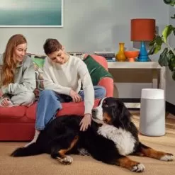 Blueair - Blue Pure 411i Max 219 Sq. Ft HEPASilent Smart Small Room Bedroom Air Purifier - White/Gray -Appliance Shop e80b1ea4 0312 581d 81a3 2ba6eda1b52f