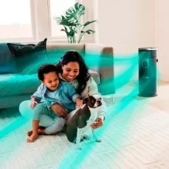 Shark - 3-in-1 Air Purifier, Heater & Fan With NanoSeal HEPA, Cleansense IQ, Odor Lock, For 500 Sq. Ft - Grey -Appliance Shop e9dc65c6 fcb7 567c 94fb fc038be28481