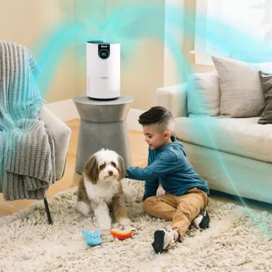 Shark - Clean Sense Air Purifier 500, Clean Sense IQ, NanoSeal True HEPA, 500 Sq. Ft., Filters 99.9% Of Allergens, Pro Odor Lock - White 8 Shark - Clean Sense Air Purifier 500, Clean Sense IQ, NanoSeal True HEPA, 500 Sq. Ft., Filters 99.9% Of Allergens, Pro Odor Lock - White - Image 6