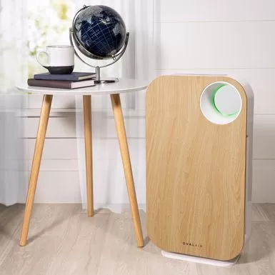 OVAL AIR 3-Stage H13 True HEPA 5-in-1 Air Purifier For Rooms Up To 600 Sq. Ft. Reduces Allergies, Asthma, Pets, Odor, Smoke - White 5 OVAL AIR 3-Stage H13 True HEPA 5-in-1 Air Purifier For Rooms Up To 600 Sq. Ft. Reduces Allergies, Asthma, Pets, Odor, Smoke - White - Image 3